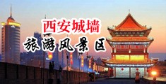 动漫屌插入屄里的视频中国陕西-西安城墙旅游风景区